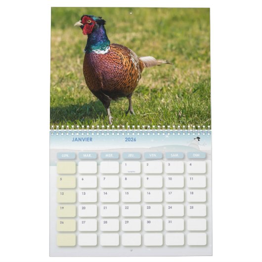 Calendrier Faisan, Calendar Pheasant カレンダー (1月 2026)