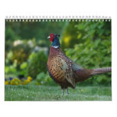 Calendrier Faisan, Calendar Pheasant カレンダー (カバー)