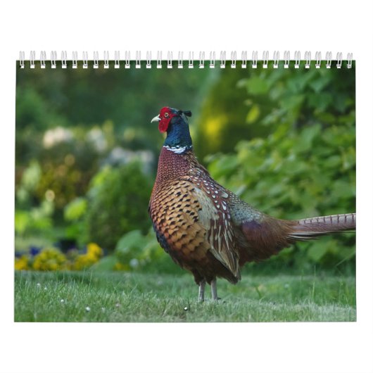 Calendrier Faisan, Calendar Pheasant カレンダー (カバー)