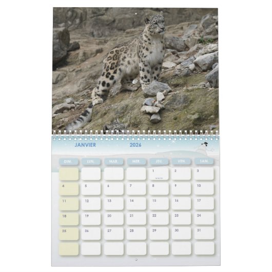 Calendrier Félins カレンダー (1月 2026)