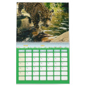 Calendrier Félins カレンダー (3月 2026)