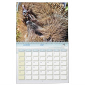 Calendrier Hérissons, Hedgehog カレンダー (1月 2027)
