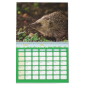 Calendrier Hérissons, Hedgehog カレンダー (3月 2026)