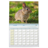 Calendrier Lièvre Lapin, Calendar Rabbit Hares カレンダー (1月 2027)