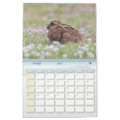 Calendrier Lièvre Lapin, Calendar Rabbit Hares カレンダー (2月 2027)