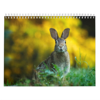Calendrier Lièvre Lapin, Calendar Rabbit Hares カレンダー