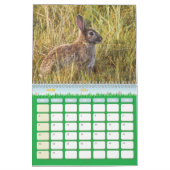 Calendrier Lièvre Lapin, Calendar Rabbit Hares カレンダー (3月 2026)
