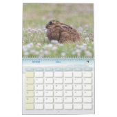 Calendrier Lièvre Lapin, Calendar Rabbit Hares カレンダー (2月 2026)