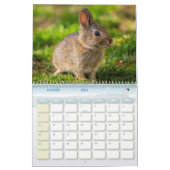 Calendrier Lièvre Lapin, Calendar Rabbit Hares カレンダー (1月 2026)