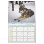 Calendrier Loup, Calendar Wolf カレンダー (2月 2027)