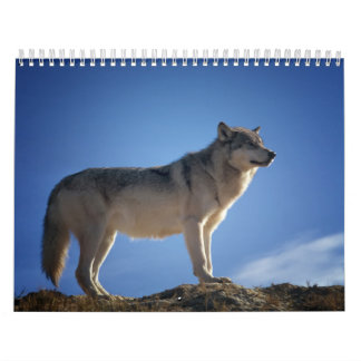 Calendrier Loup, Calendar Wolf カレンダー