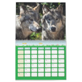 Calendrier Loup, Calendar Wolf カレンダー (3月 2026)