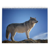 Calendrier Loup, Calendar Wolf カレンダー (カバー)