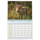 Calendrier Phacochère Calendar Warthog カレンダー (1月 2027)