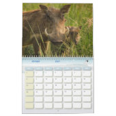 Calendrier Phacochère Calendar Warthog カレンダー (2月 2027)