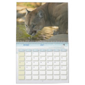Calendrier Puma Calendar Cougar  カレンダー (2月 2027)