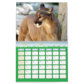 Calendrier Puma Calendar Cougar  カレンダー (3月 2027)