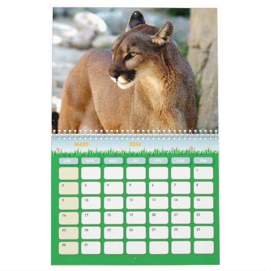 Calendrier Puma Calendar Cougar  カレンダー (3月 2026)