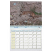 Calendrier Puma Calendar Cougar  カレンダー (1月 2026)
