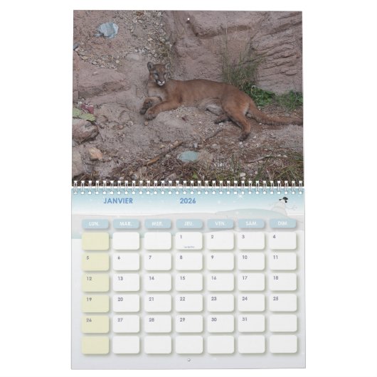 Calendrier Puma Calendar Cougar  カレンダー (1月 2026)