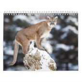 Calendrier Puma Calendar Cougar  カレンダー (カバー)