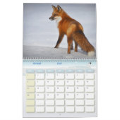 Calendrier Renard, Calendar Fox, Forest Forêt カレンダー (2月 2027)