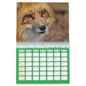 Calendrier Renard, Calendar Fox, Forest Forêt カレンダー (3月 2027)