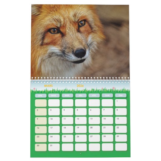 Calendrier Renard, Calendar Fox, Forest Forêt カレンダー (3月 2026)