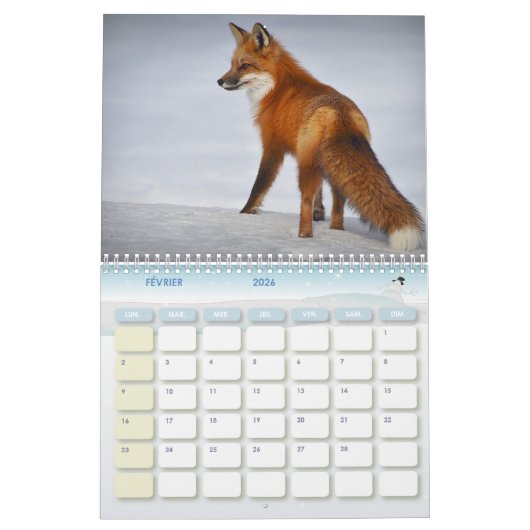Calendrier Renard, Calendar Fox, Forest Forêt カレンダー (2月 2026)