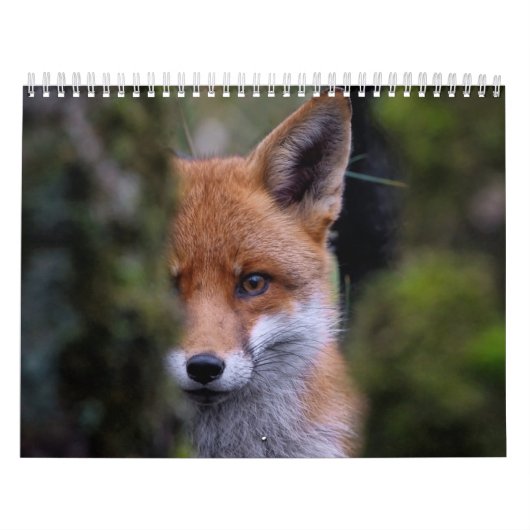 Calendrier Renard, Calendar Fox, Forest Forêt カレンダー (カバー)