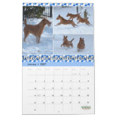 Calendrier Stirling Irish Terriers 2023 カレンダー (1月 2027)
