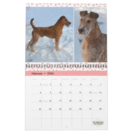 Calendrier Stirling Irish Terriers 2023 カレンダー (2月 2026)