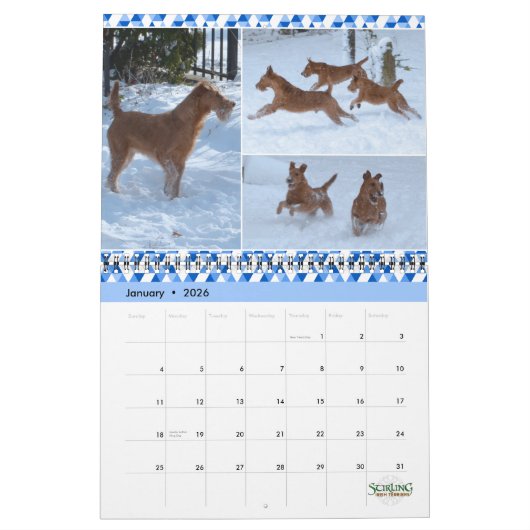 Calendrier Stirling Irish Terriers 2023 カレンダー (1月 2026)