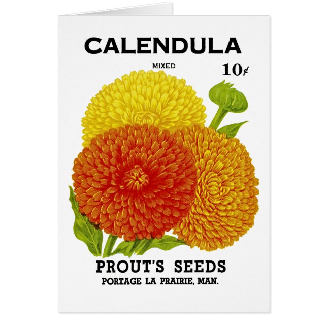 Calendulaのヴィンテージの種の包み (正面)