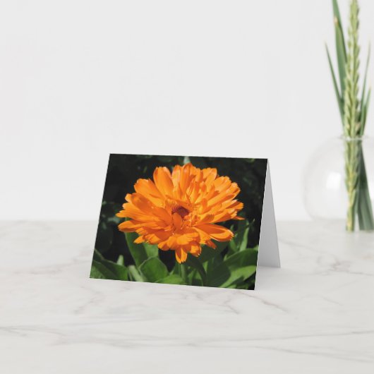 Calendulaの花の挨拶状 カード (正面)