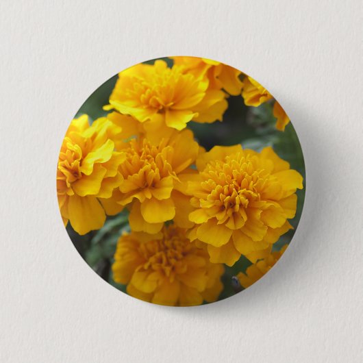 Calendula 缶バッジ (正面)
