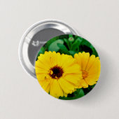 Calendula Officinalisバッジ 缶バッジ (正面&裏面)
