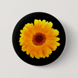 Calendula Officinalisバッジ 缶バッジ