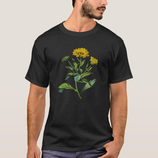 Calendula officinalis Botanical Vector Cut Out Tシャツ (正面)