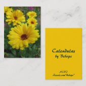 Calendulas ATC 名刺 (正面/裏面)