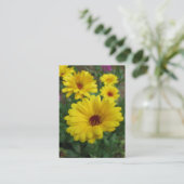 Calendulas ATC 名刺 (スタンド正面)