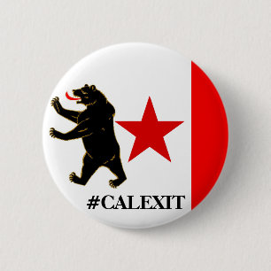 Calexitの歴史的荒天候政治ボタン 缶バッジ