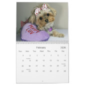 Caliの棒つきキャンデー2014の12ヶ月のカレンダー カレンダー (2月 2026)