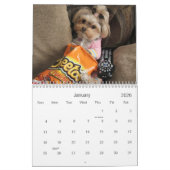 Caliの棒つきキャンデー2014の12ヶ月のカレンダー カレンダー (1月 2026)