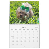 Caliの棒つきキャンデー2014の12ヶ月のカレンダー カレンダー (3月 2026)