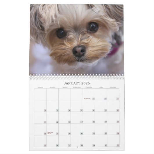 Caliの棒つきキャンデー2015の12ヶ月のカレンダー カレンダー (1月 2026)