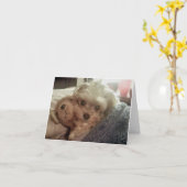 Caliの棒つきキャンデーFuriends Furever空白のなNotecard カード (黄色い花)