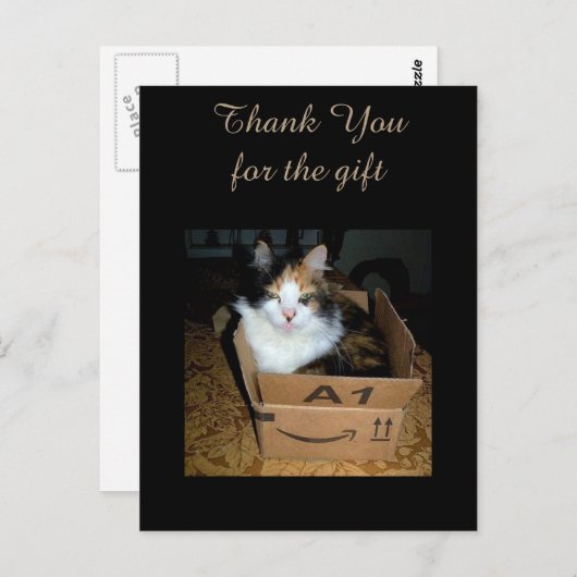 Calicoおもしろい Cat In Boxありがとうはがき ポストカード (正面/裏面)
