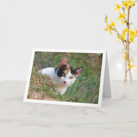 Calico柄の猫 カード (黄色い花)