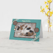 Calico猫が丸まって眠っているフォトブラウンターコイズ カード (黄色い花)